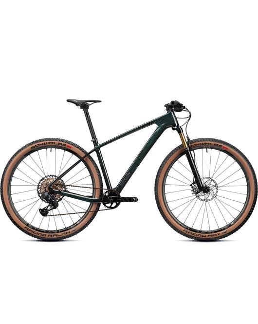 2024 Radon JEALOUS 10.0 EA Mountain Bike
