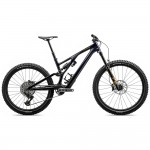 2024 Specialized Stumpjumper EVO Expert Mountain Bike