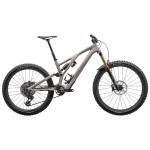 2024 Specialized Stumpjumper Evo Pro Mountain Bike