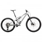 2024 Specialized Stumpjumper Ltd Mountain Bike