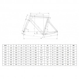 2025 Bianchi Oltre Race 105 Di2 Carbon Road Bike