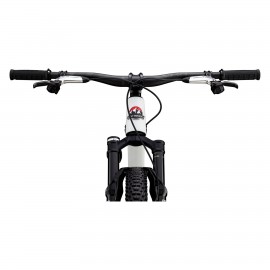 2025 Rocky Mountain Element Carbon 99