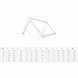 2025 Bianchi Arcadex Pro Carbon Gravel Bike