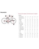 2025 Trek CHECKPOINT SL 6 AXS Gen 3 - Carbon Gravel Bike