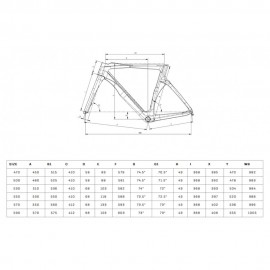2025 Bianchi OLTRE COMP 105 Di2 Carbon Road Bike