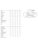 2025 Cube Reaction Hybrid Performance 625 - Women Electric Mountain Bike