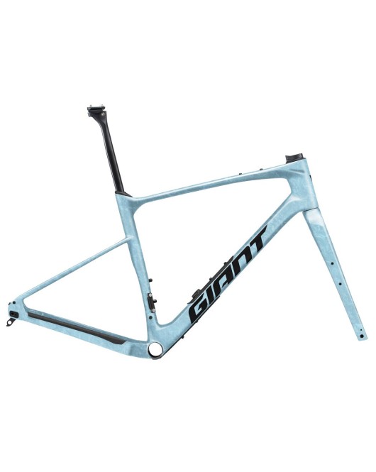 2025 Giant Revolt Advanced Pro FF Frameset
