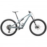 2025 Specialized Stumpjumper 15 COMP Carbon Mountain Bike