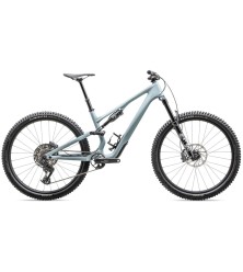 2025 Specialized Stumpjumper 15 COMP Carbon - Mountain Bike