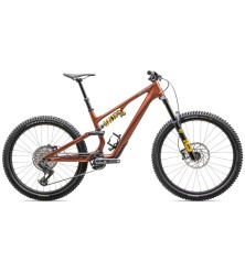 2025 Specialized Stumpjumper 15 Öhlins Coil Carbon - Mountain Bike