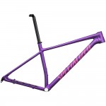 2025 Specialized Chisel Hardtail Frameset