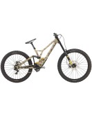 2025 Specialized Demo Race Mountain Bike