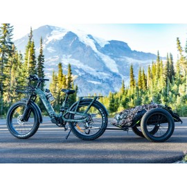 Himiway D5 2.0 Camo E-Bikes