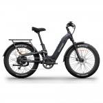 Himiway D5 2.0 ST E-Bikes