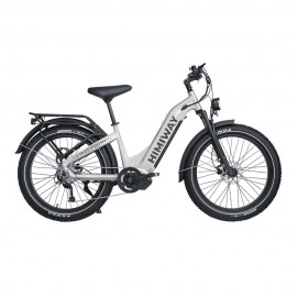 Himiway D5 Pro ST E-Bikes