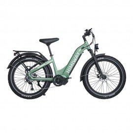 Himiway D5 Pro ST E-Bikes