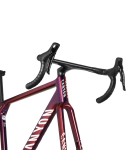 Canyon Ultimate CFR Disc Frame And Brake Kit 2023