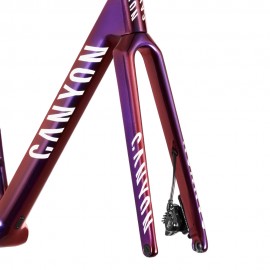 Canyon Ultimate CFR Disc Frame And Brake Kit 2023