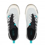 Fizik Terra Ergolace GTX Shoes